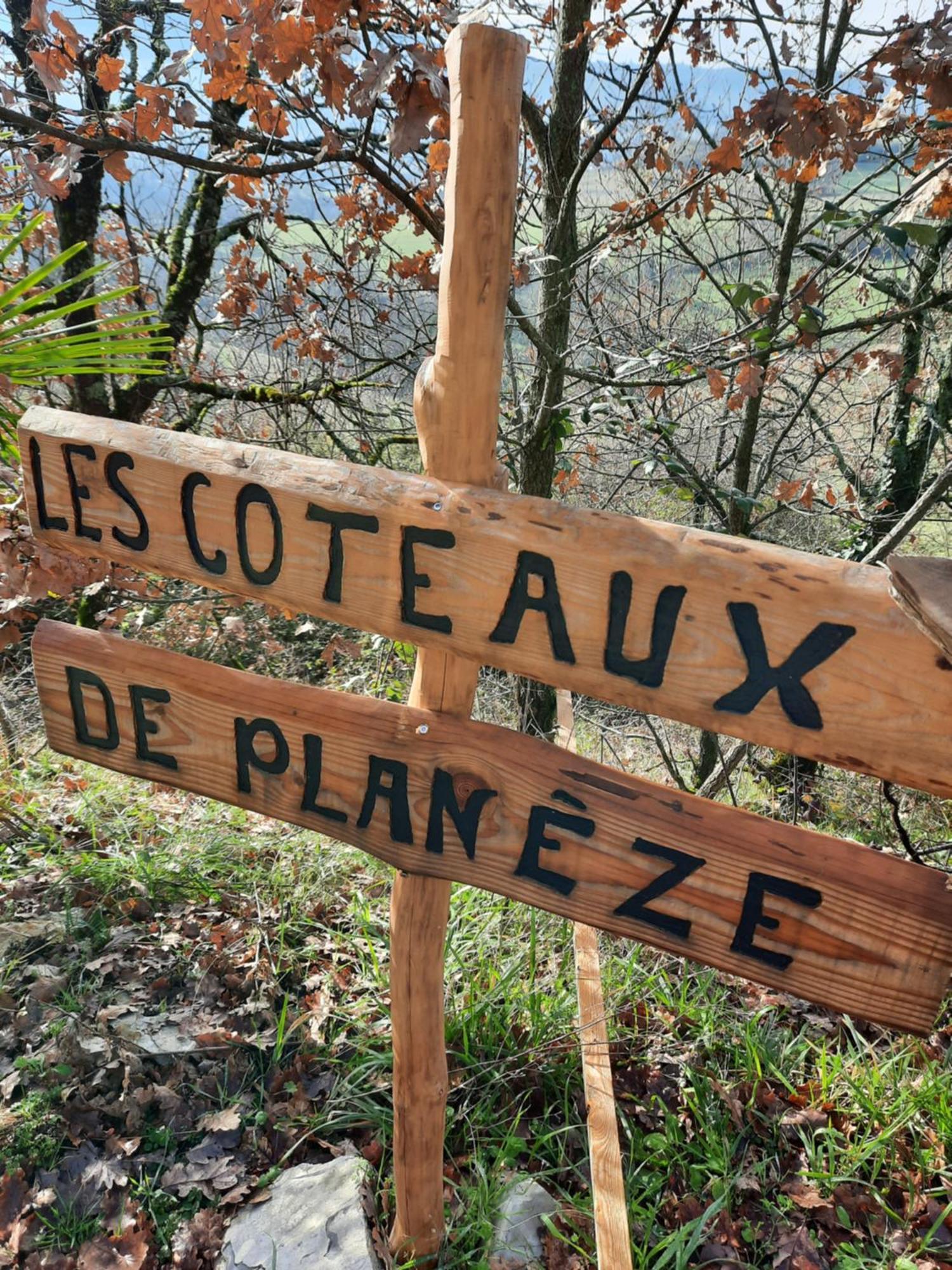 Les Coteaux De Planeze, Ideal Deplacement Pro, Chambres Individuelles Lit 160 Television Saint-Laurent-les-Tours Kültér fotó